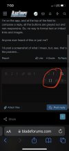 IMG_0336.jpeg