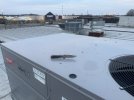 IMG_9944.jpeg