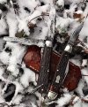 7C85074C-D682-44FA-AC39-7FFEB9BD4063.jpeg