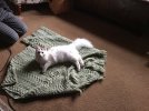 IMG_3547.jpeg