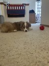 IMG_0922.jpeg