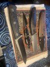 IMG_2155.jpeg