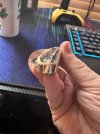 thumbnail_IMG_6988.jpg
