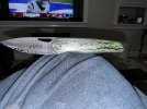 IMG_2064.jpeg