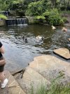 IMG_1774.jpeg