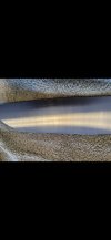 8364A905-494C-4043-8E20-998BA94952D8.jpg