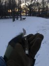 IMG_8539.jpeg