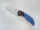 Jarosz Blue 2.jpg