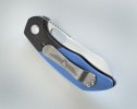 Jarosz Blue 4.jpg Jarosz Blue 4.jpg