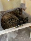 IMG_6976.jpeg