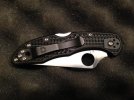 delica 2.jpg