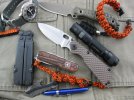 PocketDump12_13.jpg