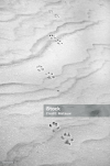 1705353888050.png
