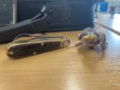 IMG_3734.jpeg