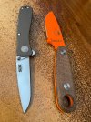 IMG_6979.jpeg