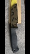 IMG_4285.jpeg