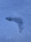 IMG_6989.jpeg