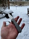 IMG_2964.jpeg