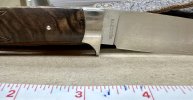 IMG_8751.jpeg