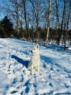 IMG_3592.jpg