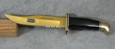 119.Gold.TiN.010216 004_zpskwgjokp4.jpg