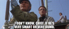41e2bd4c-10e3-4c8b-bbcc-36428a6758b8_text.gif