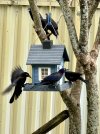 IMG_5729.jpeg