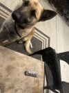 IMG_0191.jpeg