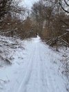 IMG_7047.jpeg