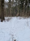 IMG_7037.jpeg