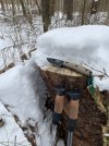 IMG_7036.jpeg