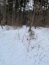 IMG_7038.jpeg
