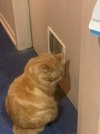 IMG_2089.jpeg