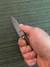 IMG_4877.jpeg