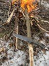 IMG_0873.jpeg