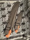 IMG_4613.jpeg
