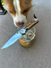 IMG_7238.jpeg