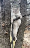 IMG_7776.jpeg