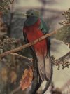 IMG_7090.jpeg