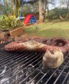 IMG_9296.jpeg