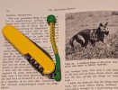 PXL_20240125_200617560.jpg
