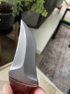 IMG_2742.jpeg