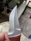 IMG_2741.jpeg
