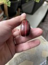 IMG_2740.jpeg