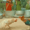 IMG_5134.gif