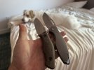 IMG_9886.jpeg
