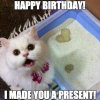 cat-birthday-present-meme.jpg