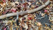20231124_145237-E14-DDS-Compressed.jpg