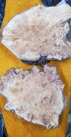 Goat Willow Burl.jpg