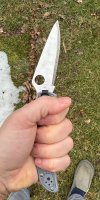IMG_4171.jpeg